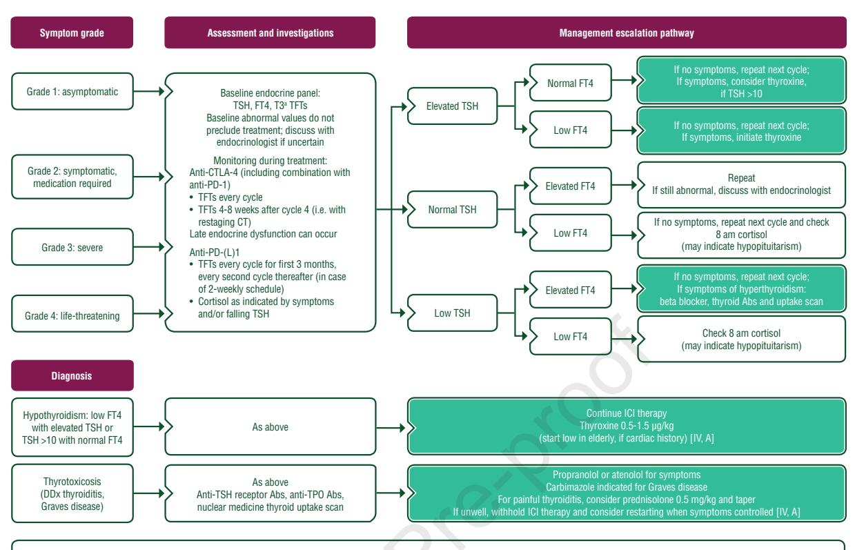 image_category: FLOWCHART/Clinical management algorithm for thyroid dysfunction | body_region: NA | specialty: Oncology/Endocrinology | summary: A clinical flowchart detailing the assessment, diagnosis, and management of thyroid-related immune-related adverse events (irAEs) in patients receiving immunotherapy. | detail: This image is a comprehensive clinical flowchart titled 'Management escalation pathway' for thyroid-related adverse events induced by immune checkpoint inhibitors (ICIs). The chart is organized into four main vertical sections: Symptom Grade, Assessment and Investigations, Management Escalation Pathway, and Diagnosis. The 'Symptom Grade' section categorizes severity from Grade 1 (asymptomatic) to Grade 4 (life-threatening). The 'Assessment and Investigations' column outlines baseline endocrine panels (TSH, FT4, T3) and monitoring frequencies for different ICI types (anti-CTLA-4 vs. anti-PD-(L)1), noting that baseline abnormalities don't necessarily preclude treatment. The core 'Management Escalation Pathway' uses a decision tree based on TSH levels (Elevated, Normal, Low) and FT4 levels. Key clinical pathways include: initiating thyroxine for TSH >10 or symptomatic low FT4; checking 8 am cortisol for low FT4 with normal/low TSH to rule out hypopituitarism; and using beta-blockers or thyroid uptake scans for suspected hyperthyroidism (low TSH, elevated FT4). The 'Diagnosis' section at the bottom provides specific treatment protocols, such as thyroxine dosing (0.5-1.5 µg/kg) for hypothyroidism and the use of propranolol, carbimazole, or prednisolone for thyrotoxicosis and thyroiditis. This algorithm provides a standardized approach to managing common endocrine toxicities in oncology. | entities: diseases=Hypothyroidism, Thyrotoxicosis, Thyroiditis, Graves disease, Hypopituitarism, Hyperthyroidism, Immune-related adverse events; anatomical_structures=Thyroid, Pituitary gland; interventions=Immunotherapy, ICI therapy, anti-CTLA-4, anti-PD-1, anti-PD-(L)1, Thyroid uptake scan, CT scan, Endocrine panel; biomarkers=TSH, FT4, T3, Cortisol, Anti-TSH receptor Abs, anti-TPO Abs; medications=Thyroxine, Propranolol, Atenolol, Carbimazole, Prednisolone, Beta blocker; findings=TSH >10, Elevated TSH, Normal TSH, Low TSH, Elevated FT4, Normal FT4, Low FT4, 8 am cortisol | measurements: Thyroxine dosage 0.5-1.5 µg/kg; Prednisolone dosage 0.5 mg/kg; TSH threshold for treatment 10 mIU/L; Cortisol measurement time 8 am