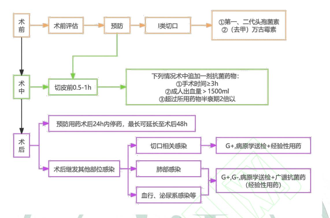 【冠状动脉旁路移植术围术期药学监护专家共识】围手术期抗菌药物使用流程图
