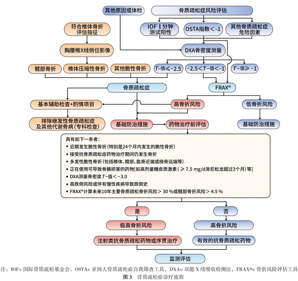 【骨质疏松症诊疗流程图】基于骨折风险分层的序贯治疗路径