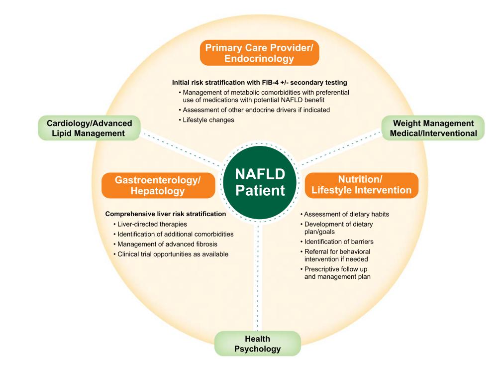 image_category: FLOWCHART/Multidisciplinary care model diagram | body_region: NA | specialty: Hepatology, Endocrinology, Primary Care, Nutrition, Cardiology, Psychology | summary: This diagram illustrates a multidisciplinary care model for NAFLD patients, emphasizing integrated management across primary care, hepatology, nutrition, and other specialties. | detail: This medical diagram illustrates a comprehensive, multidisciplinary care model for a patient diagnosed with Non-Alcoholic Fatty Liver Disease (NAFLD). The visual is structured as a hub-and-spoke model with the 'NAFLD Patient' at the center, surrounded by three primary intervention blocks in orange and three supporting specialties in green. The Primary Care Provider/Endocrinology block at the top is responsible for initial risk stratification using the FIB-4 index, managing metabolic comorbidities with a preference for medications offering NAFLD benefits, and initiating lifestyle changes. To the left, Gastroenterology/Hepatology focuses on comprehensive liver risk stratification, liver-directed therapies, identification of additional comorbidities, and the management of advanced fibrosis, including clinical trial opportunities. On the right, Nutrition/Lifestyle Intervention handles dietary habit assessment, development of personalized dietary plans, identification of barriers to change, and referral for behavioral interventions. The outer ring includes Cardiology/Advanced Lipid Management, Weight Management (Medical/Interventional), and Health Psychology, indicating their supportive roles in addressing cardiovascular risk, obesity, and psychological barriers to health. This integrated approach is clinically significant as NAFLD is a multisystemic disease requiring coordinated care to manage hepatic progression and associated metabolic risks. The diagram emphasizes that effective NAFLD management extends beyond the liver, necessitating a holistic strategy involving various medical disciplines to improve long-term patient outcomes.