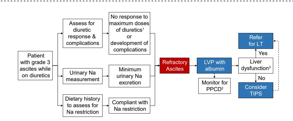 【Clinical management algorithm for refractory ascites】Refractory ascites management flowchart