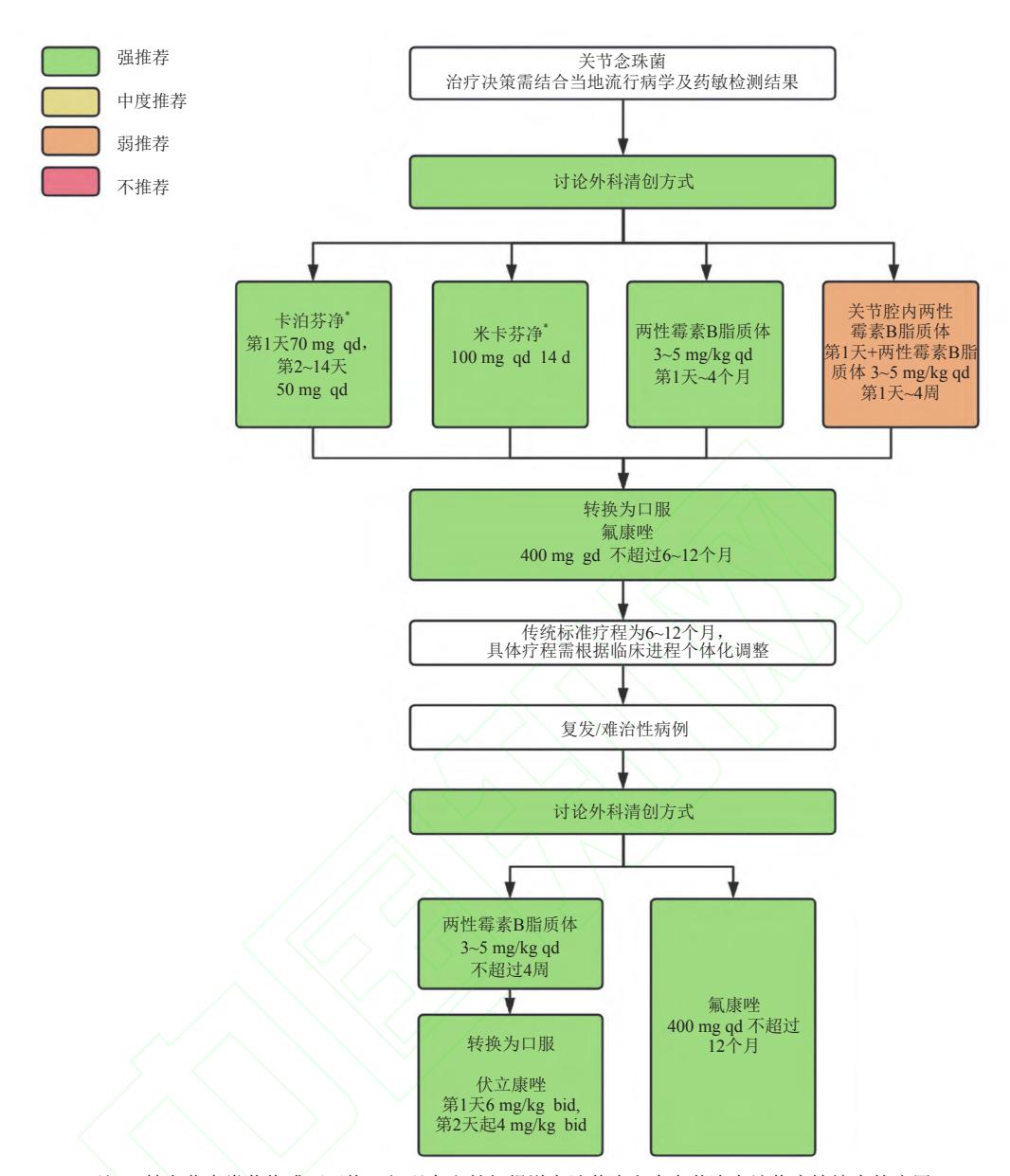 【《念珠菌病的诊断和管理全球指南》解读 】关节念珠菌治疗临床路径图