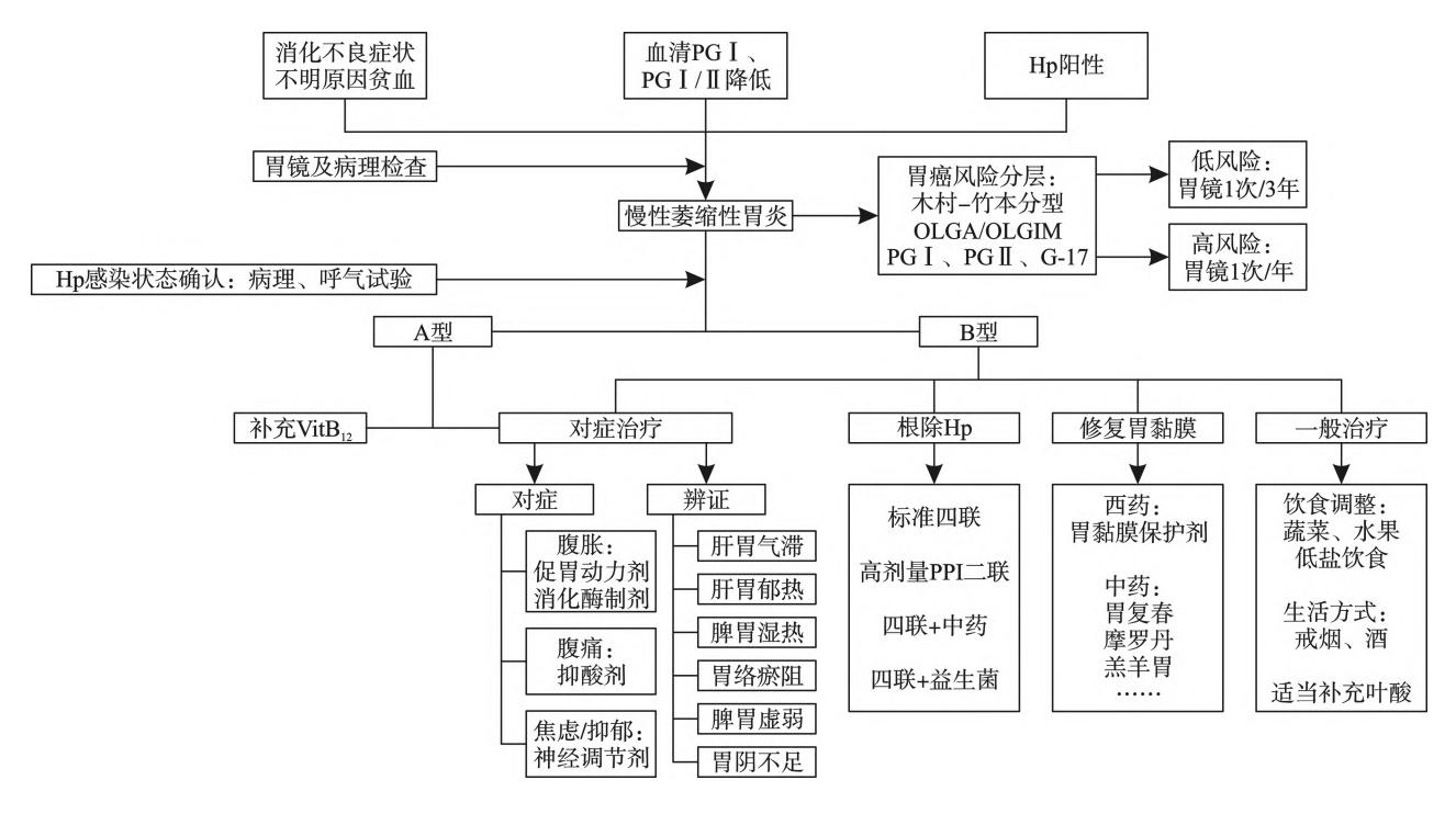 【共识】慢性胃炎中西医协同诊疗共识意见/慢性萎缩性胃炎诊治流程图