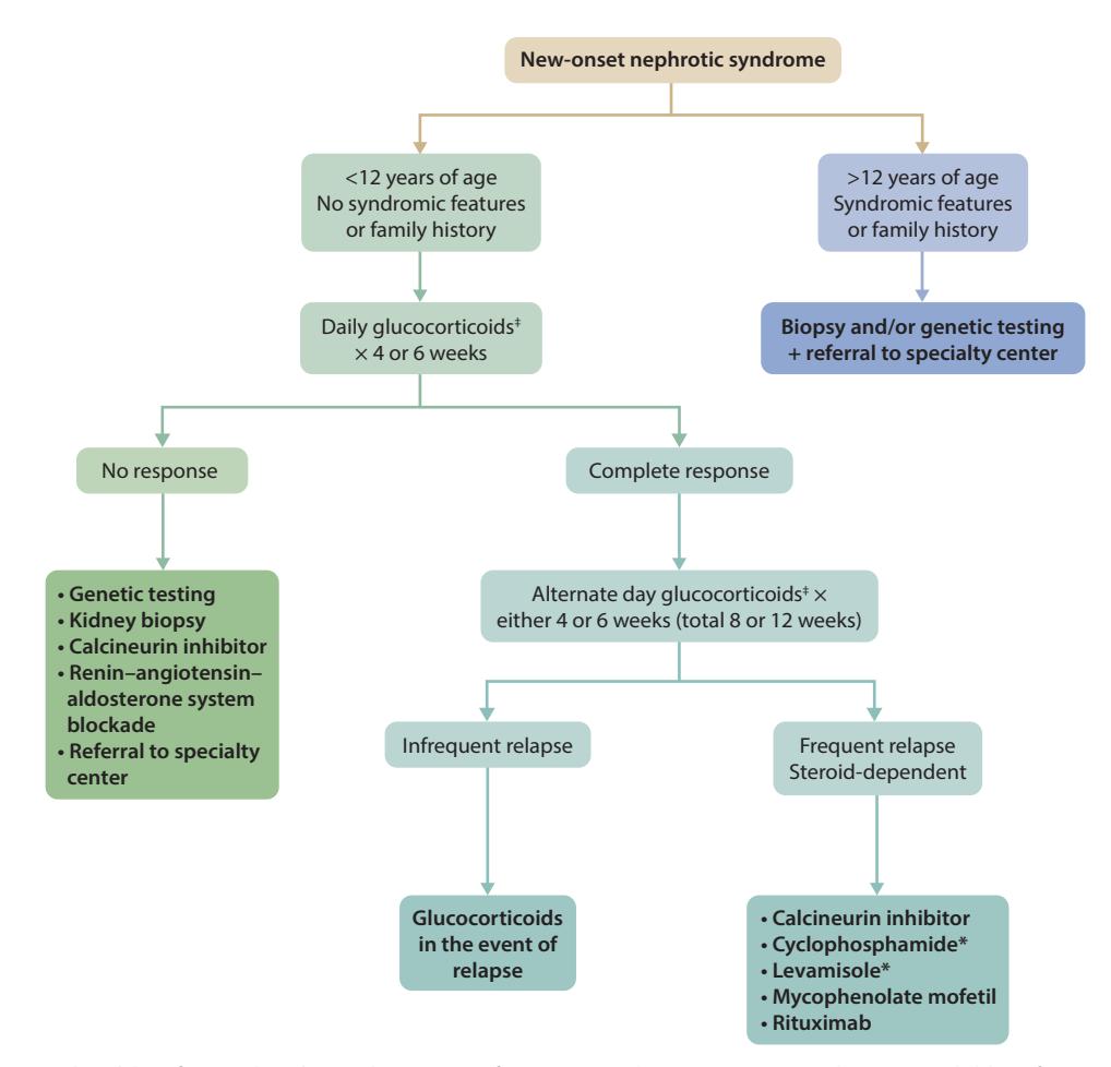 【KDIGO临床实践指南:儿童肾病综合征的管理】New-onset nephrotic syndrome treatment algorithm