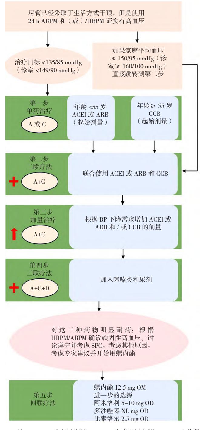 【2024中国高血压防治指南】高血压药物治疗临床路径图