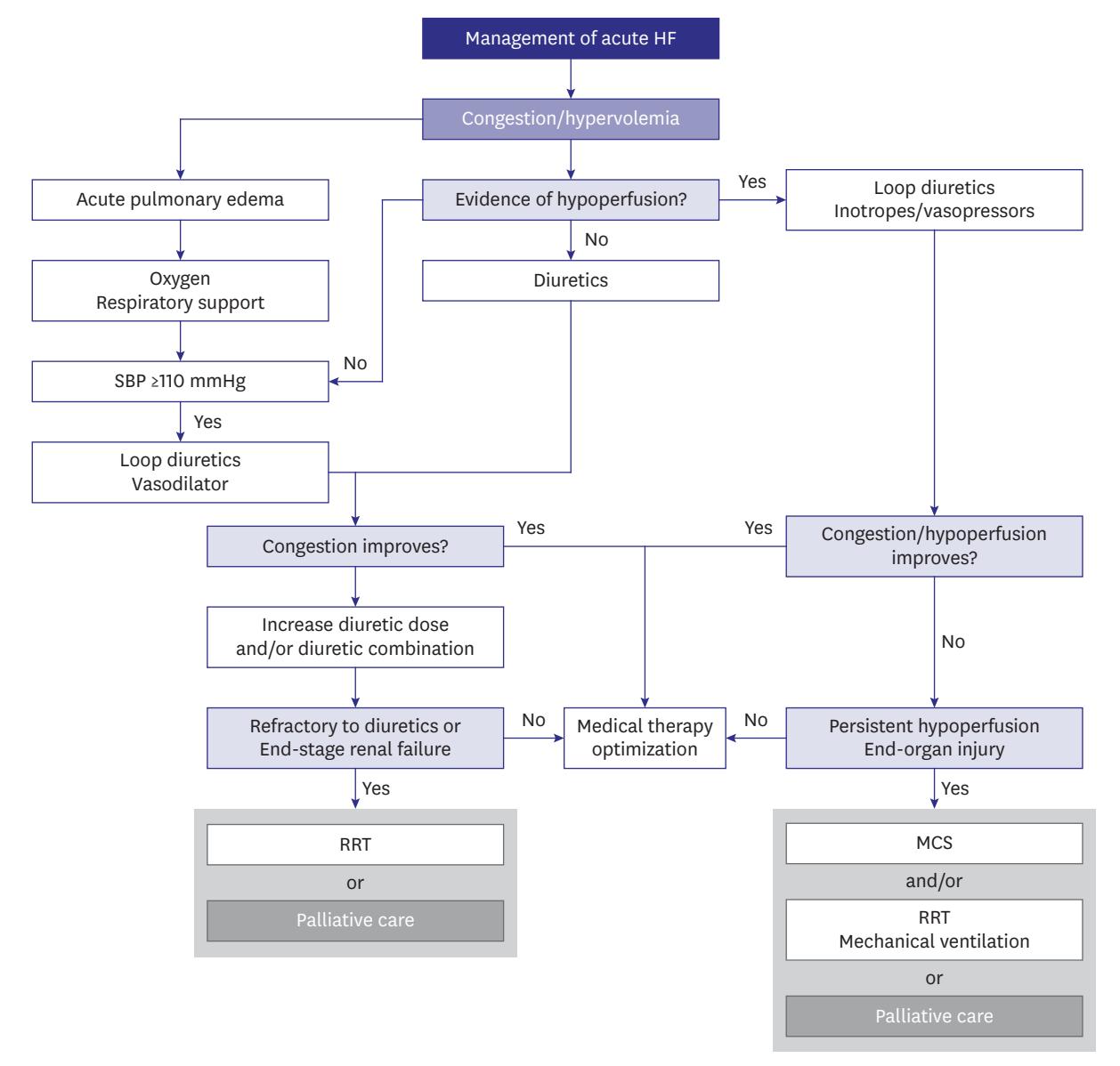【Korean Society of Heart Failure Guidelines for the Management of Heart Failure: Advanced and Acute Heart Failure】Clinical management algorithm for acute heart failure