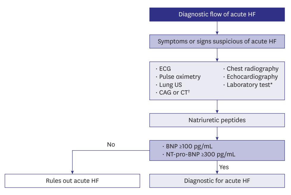 【Korean Society of Heart Failure Guidelines for the Management of Heart Failure: Advanced and Acute Heart Failure】Diagnostic algorithm for acute heart failure