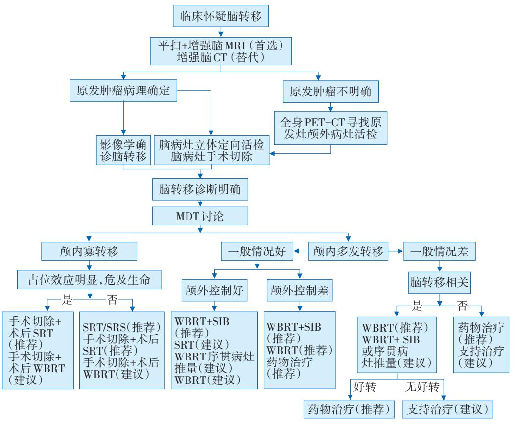 【中国肿瘤整合诊治指南—中枢神经系统转移瘤(2022)】脑转移瘤诊治临床路径图