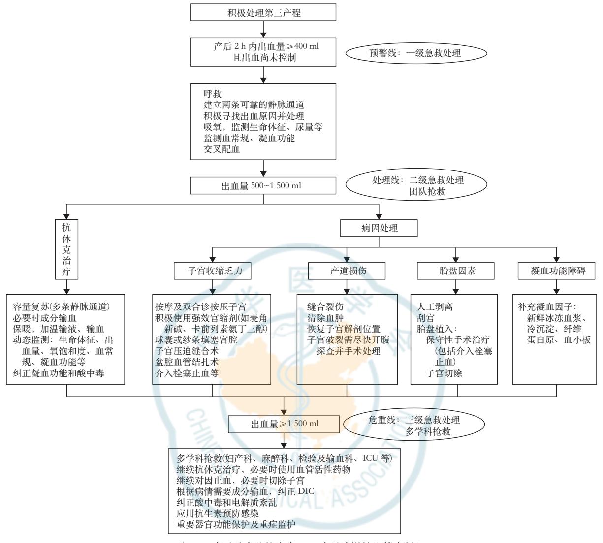 【产后出血预防与处理指南(2023)】产后出血处理流程图