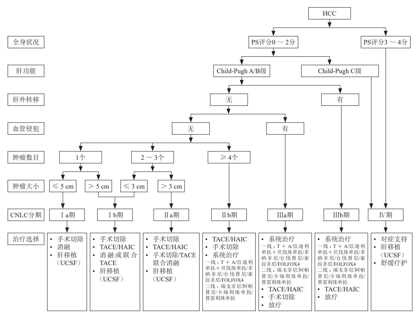 【原发性肝癌诊疗指南(2026年版)】原发性肝癌(HCC)诊疗流程图