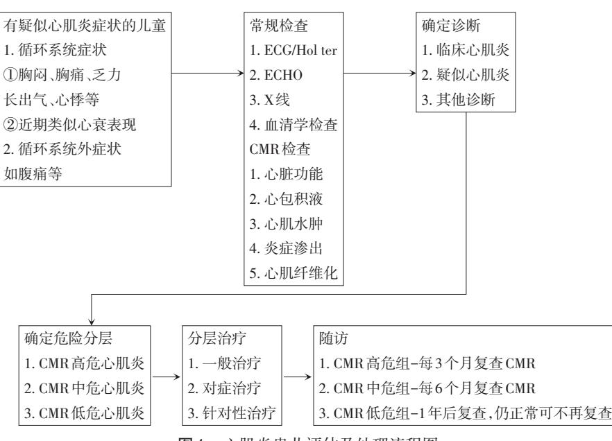 image_category: FLOWCHART/儿童心肌炎临床评估及处理流程图 | body_region: NA | specialty: 儿科/心血管内科 | summary: 该流程图详细阐述了儿童疑似心肌炎从症状识别、多模态检查、确定诊断到危险分层及后续治疗随访的标准化临床路径。