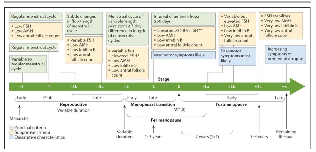 【Menopause Transition and Cardiovascular Disease Risk: Implications for Timing of Early Prevention: A Scientific Statement From the American Heart Association】Reproductive aging staging system (STRAW+10)