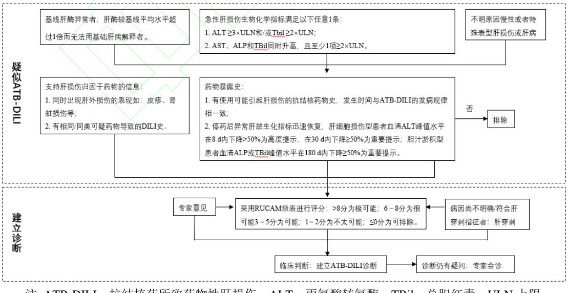 【《抗结核药所致药物性肝损伤诊治指南(2024年版)》更新要点解读】临床诊断流程图
