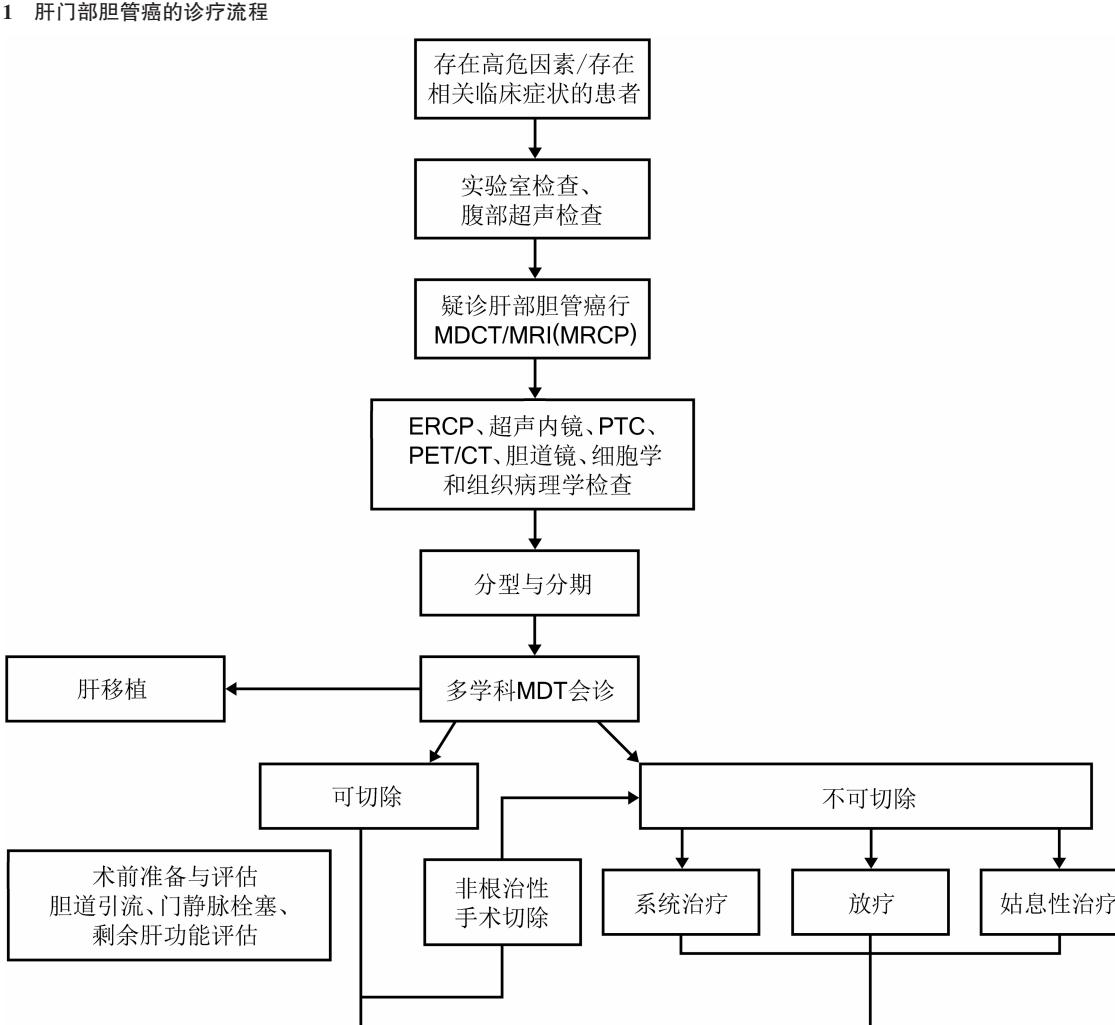 【肝门部胆管癌诊断和治疗指南(2025版)】肝门部胆管癌诊疗流程图