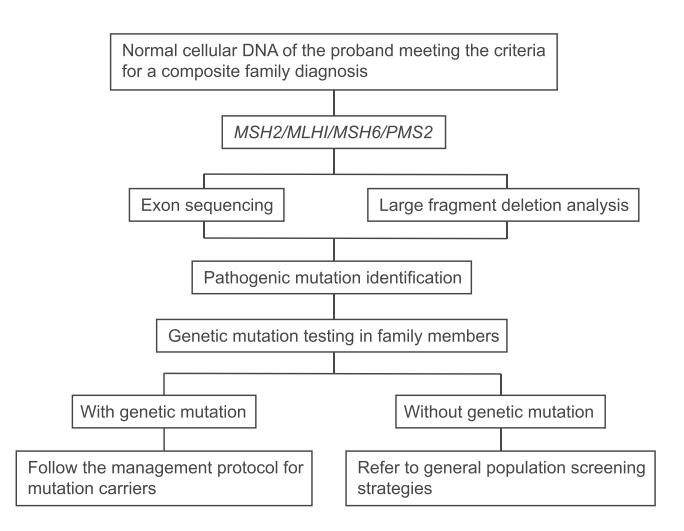 【The Chinese Society of Clinical Oncology (CSCO): Clinical guidelines for the diagnosis and treatment of colorectal cancer, 2024 update】Clinical diagnostic algorithm