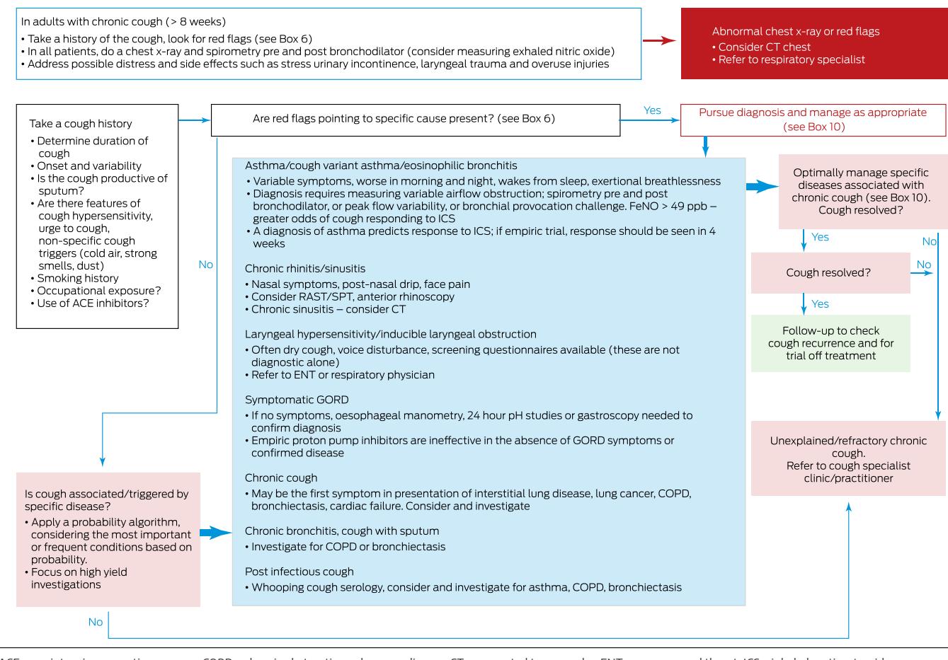 【Cough in Children and Adults: Diagnosis, Assessment and Management (CICADA). Summary of an updated position statement on chronic cough in Australia】Clinical management algorithm