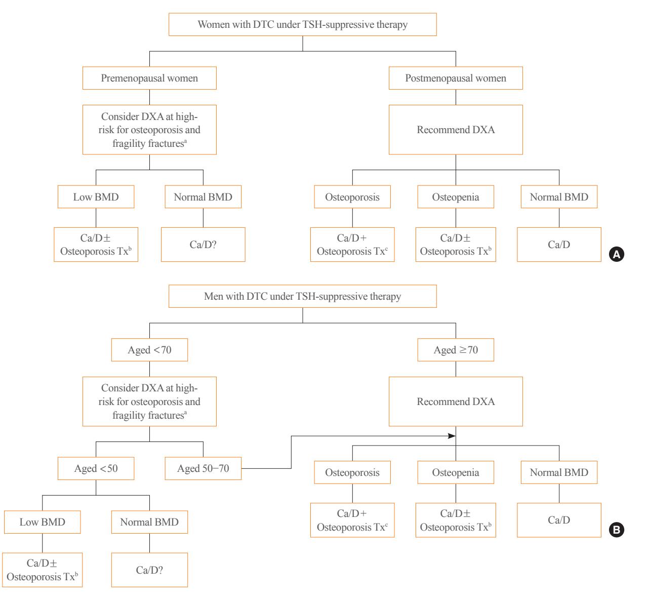 【Bone health management algorithm】DTC患者骨健康管理流程图