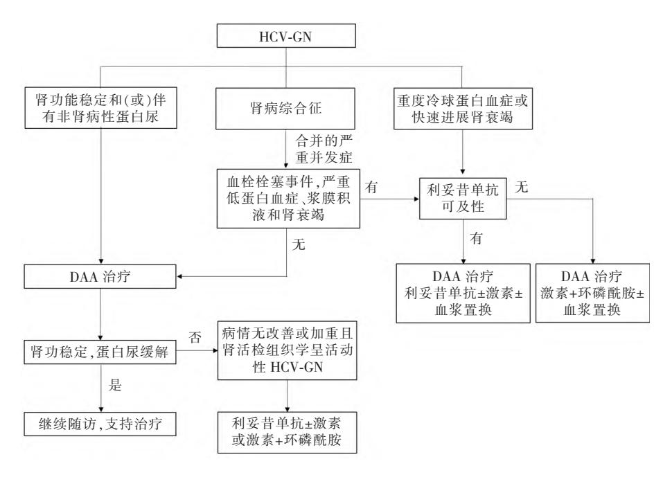 【慢性肾脏病合并丙型肝炎病毒感染诊断、治疗和预防的临床实践指南(2023年版)】诊疗流程图