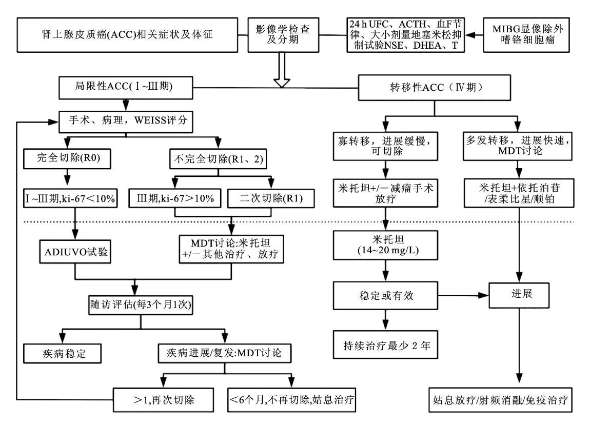 肾上腺皮质癌诊疗流程图