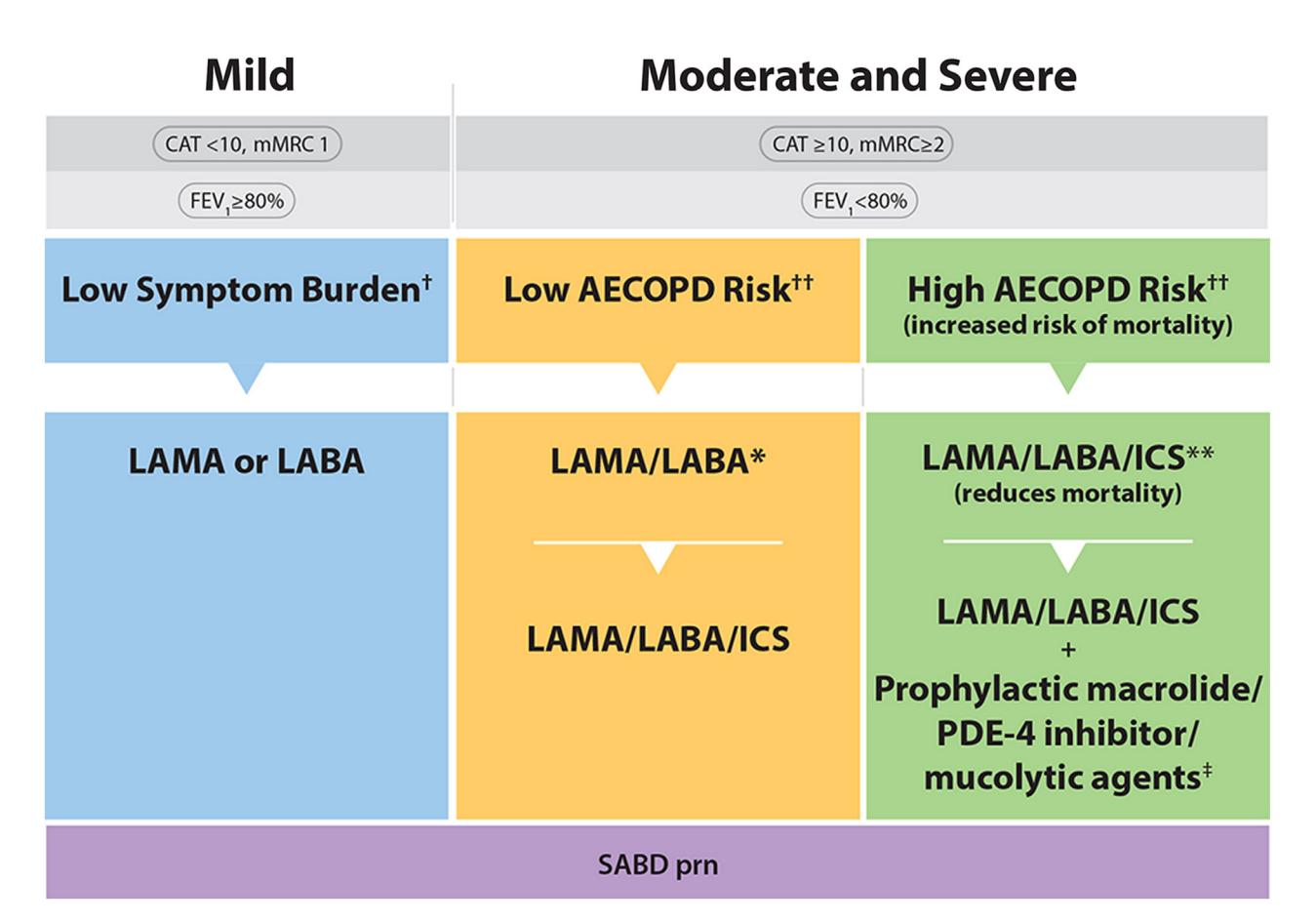 【Geriatric Practice】Pharmacologic Treatment for COPD