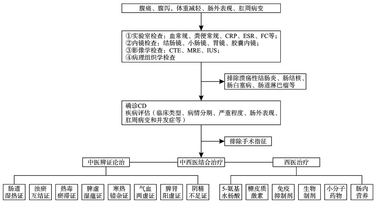 【克罗恩病中西医结合诊疗专家共识(2025年)】克罗恩病(CD)诊疗路径流程图