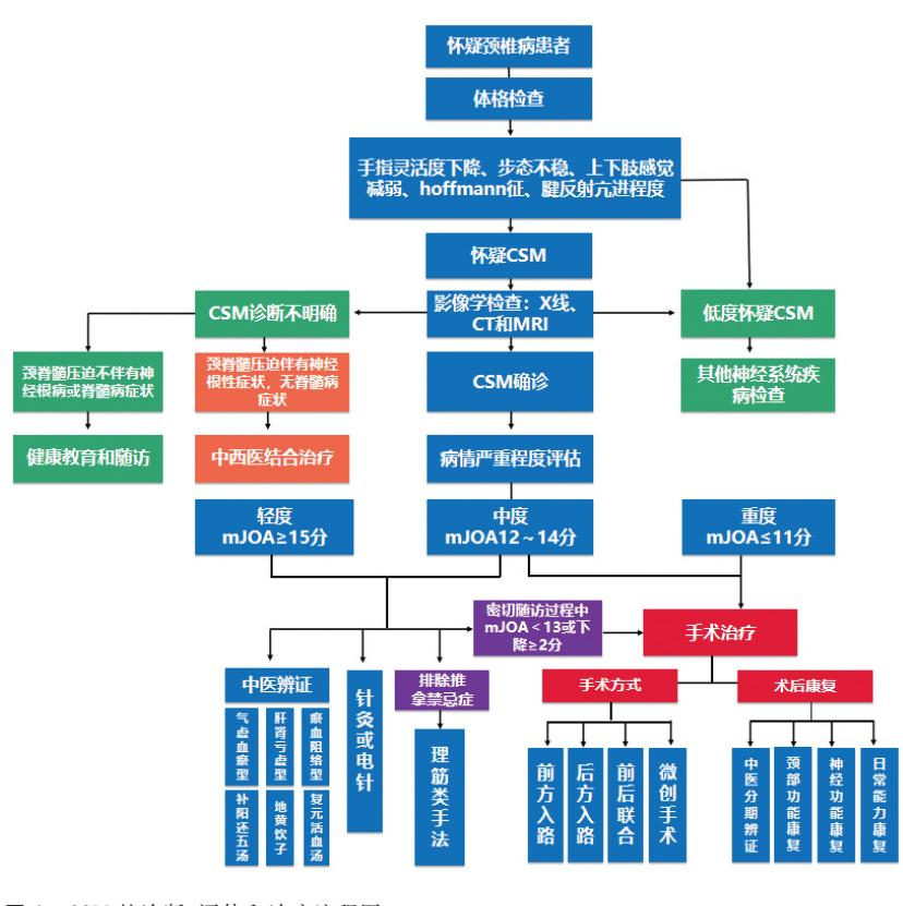 【脊髓型颈椎病诊疗流程图】CSM诊疗