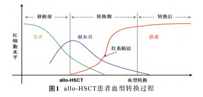 异基因造血干细胞移植(allo-HSCT)患者血型转换过程示意图