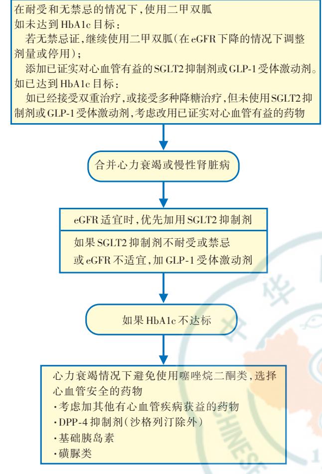 FLOWCHART/糖尿病合并并发症治疗路径图