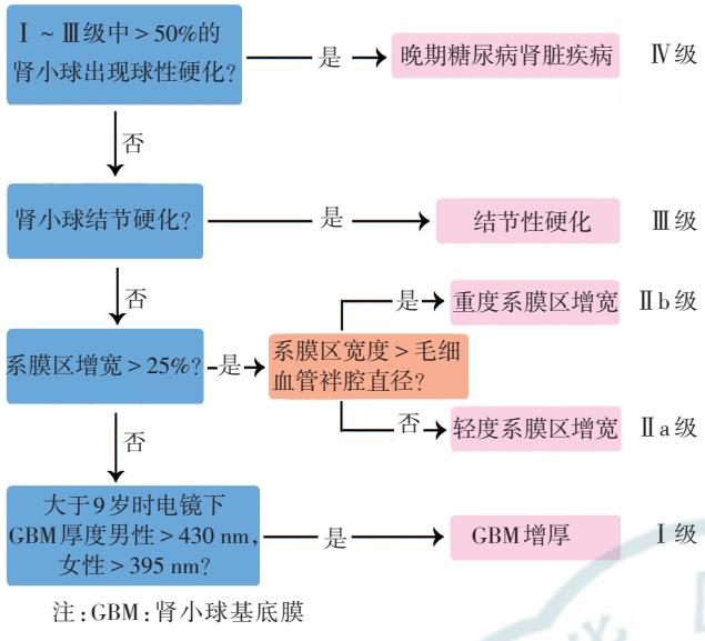 【糖尿病肾脏疾病临床诊疗中国指南】糖尿病肾病病理分级诊断流程图