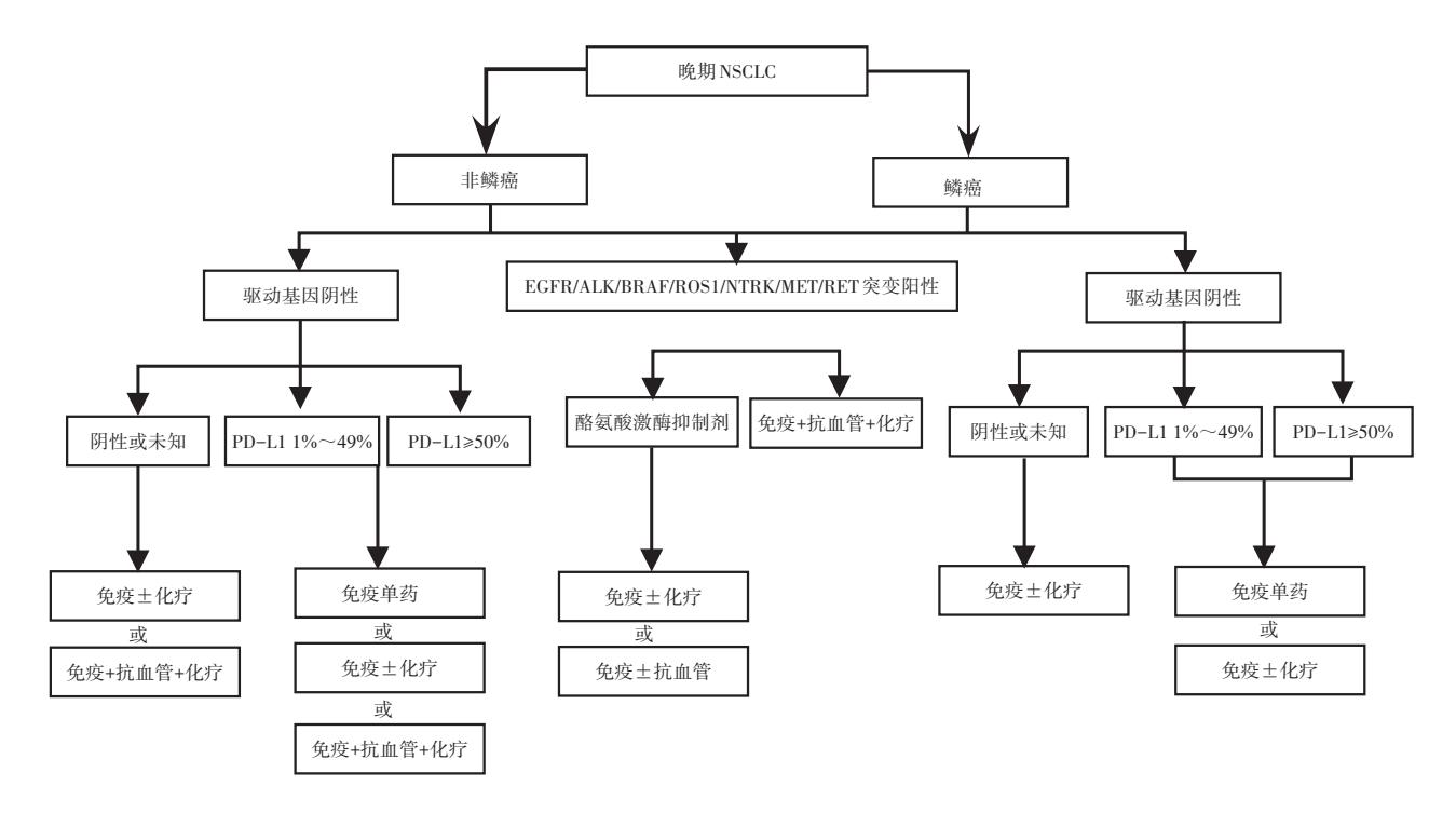 【晚期非小细胞肺癌治疗决策流程图】晚期非小细胞肺癌治疗决策流程图