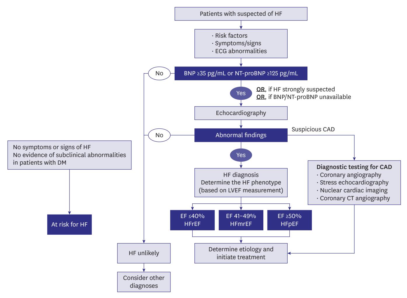 【Heart Failure Diagnostic Algorithm】Clinical flowchart for diagnosing heart failure and classifying into HFrEF, HFmrEF, and HFpEF