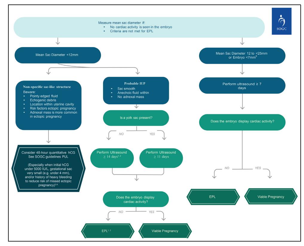 【SOGC Clinical Practice Guideline No.460】Diagnostic Algorithm for Early Pregnancy Loss