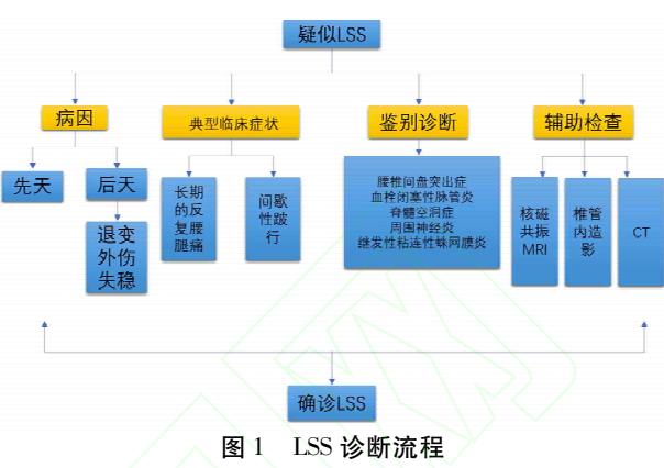 【腰椎管狭窄症诊断流程图】LSS诊断流程