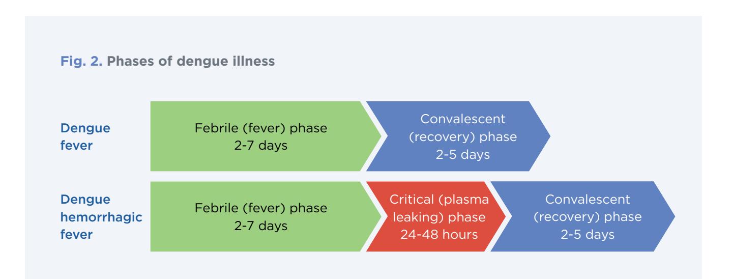 【WHO Clinical Management of Dengue】Phases of Dengue Illness