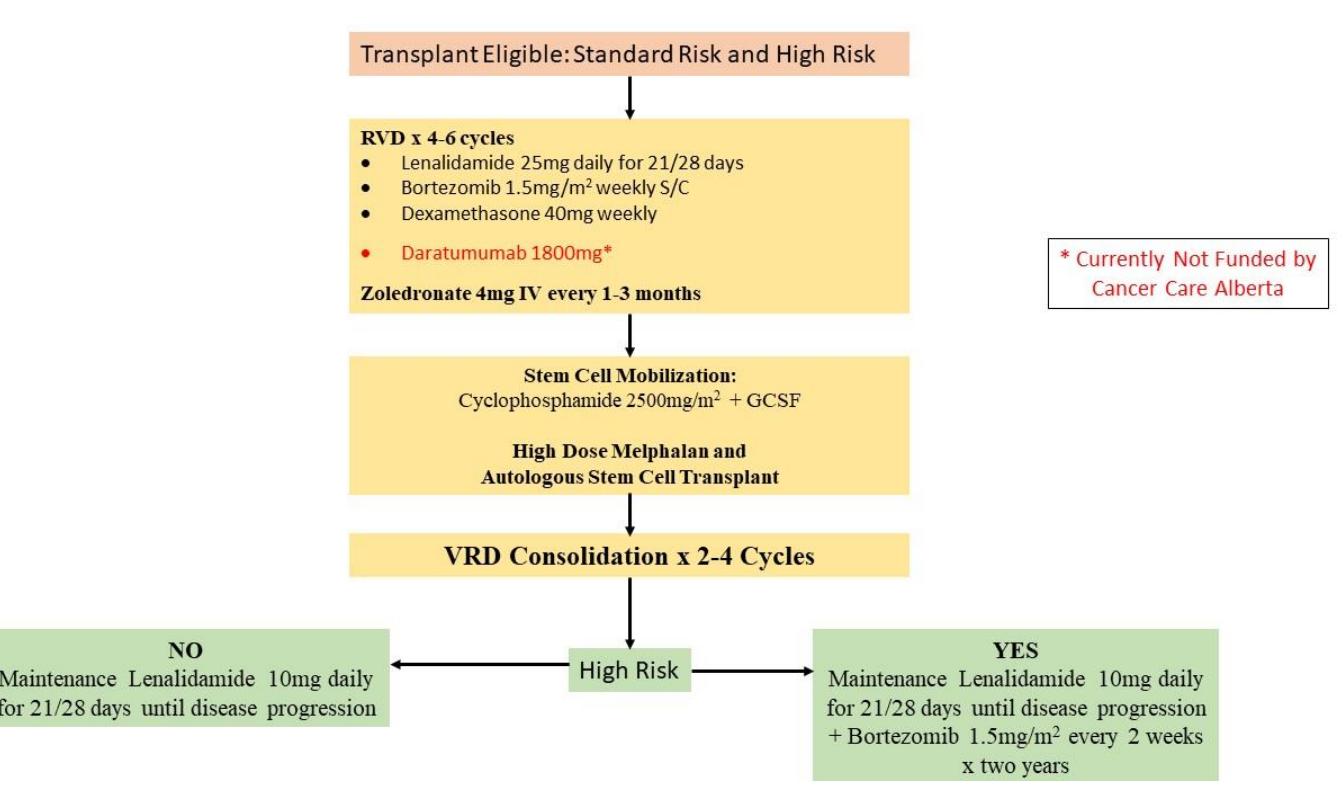 【NCCN临床实践指南:多发性骨髓瘤(2026.V5)】适合移植患者的治疗路径