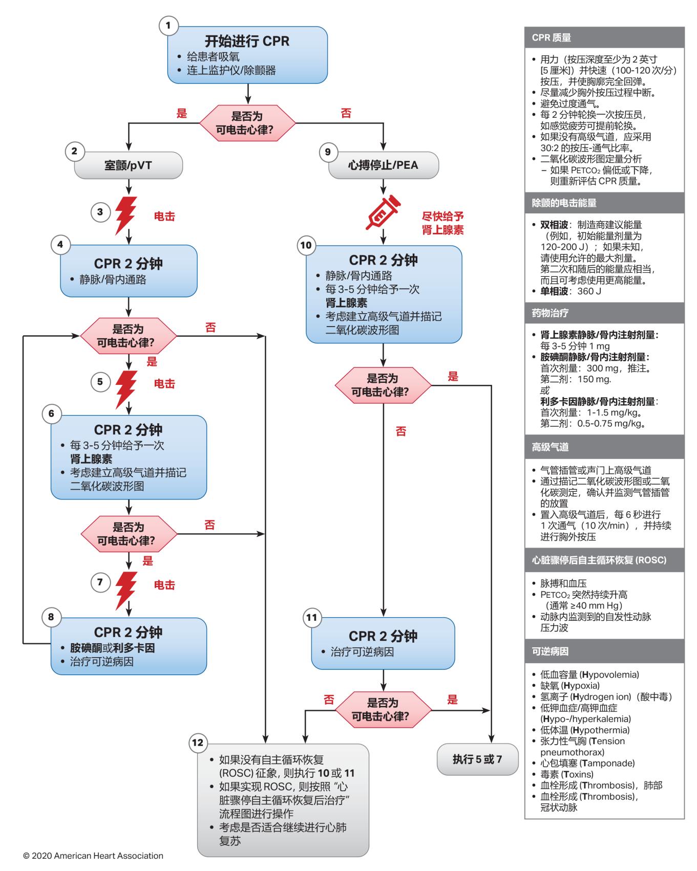 2025 AHA成人心脏骤停抢救流程图