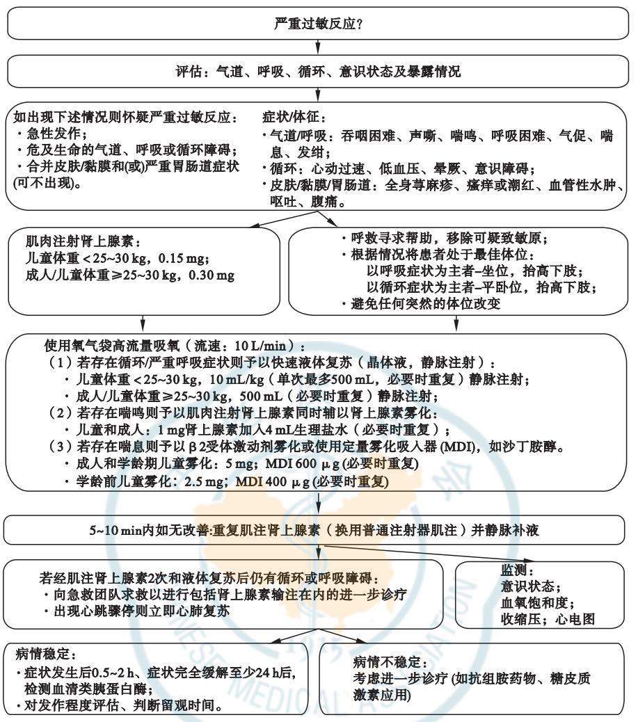 【«欧洲变态反应与临床免疫学会严重过敏反应指南 2021版»解读】严重过敏反应急救流程图