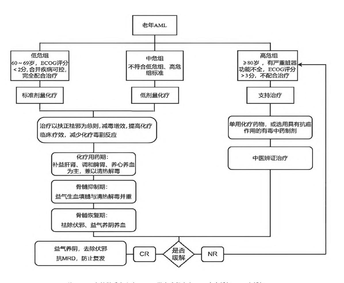 【NCCN临床实践指南:急性髓性白血病(2026.V2)】TNM Staging for Lung Cancer