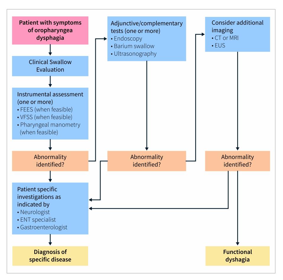 【Diagnostic algorithm for oropharyngeal dysphagia】