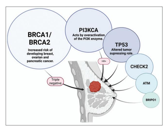 【NCCN Clinical Practice Guidelines: Non-Small Cell Lung Cancer】TNM Staging for Lung Cancer