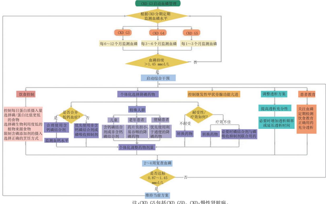 慢性肾脏病血磷管理临床路径图