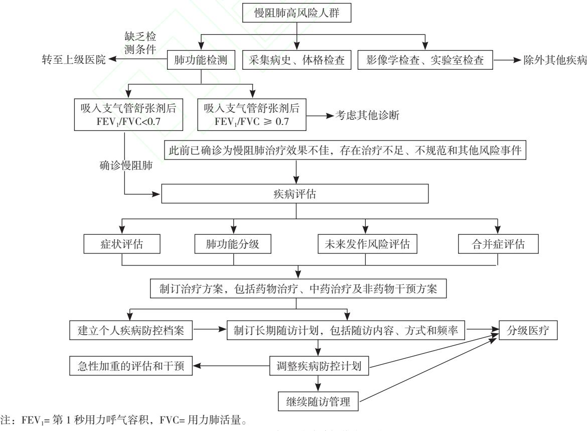 【慢性阻塞性肺疾病中西医结合防治临床应用指南(2024)】Clinical management algorithm for COPD