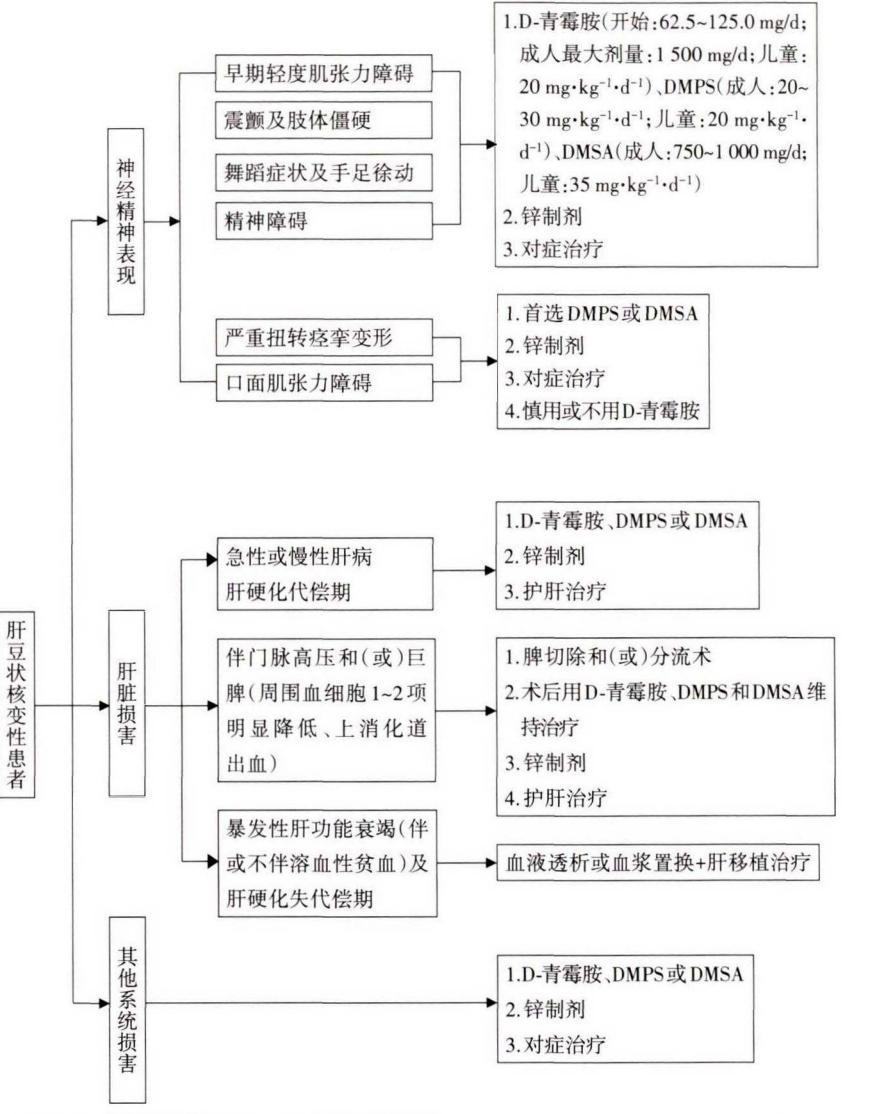 肝豆状核变性临床治疗路径图