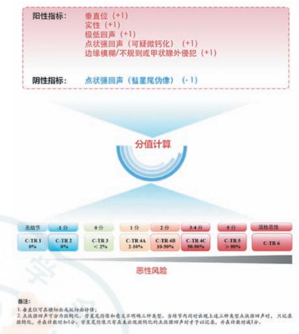 【C-TIRADS分级标准图表】C-TIRADS评分标准与恶性风险分层