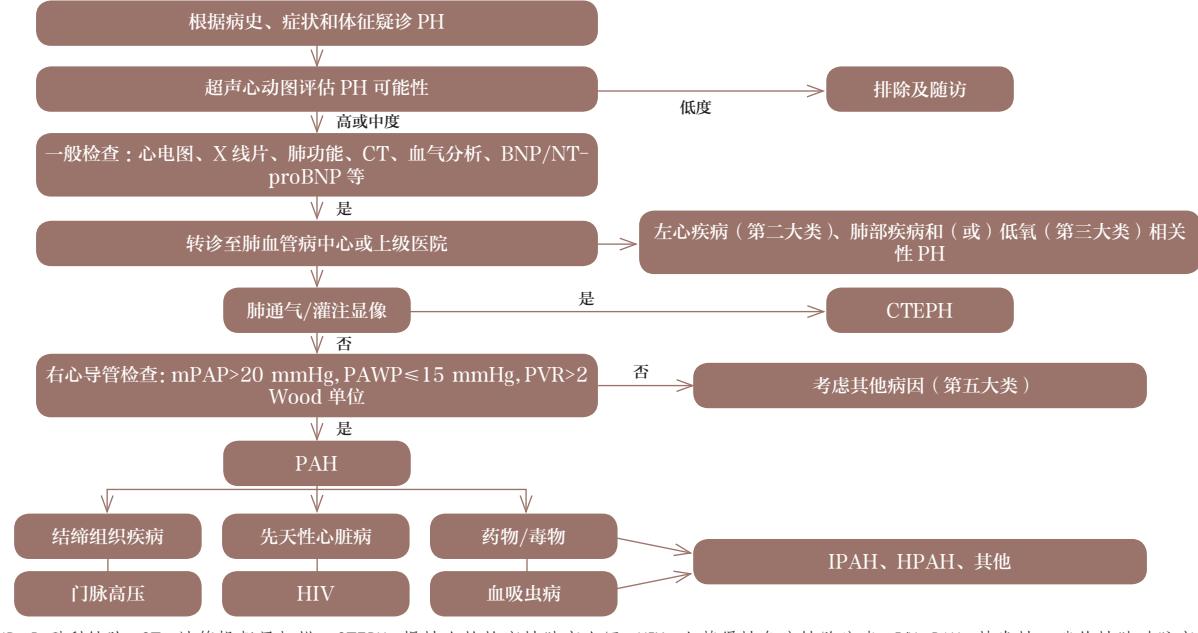 【县域肺高血压合理用药与综合管理指南】肺高血压诊断流程图