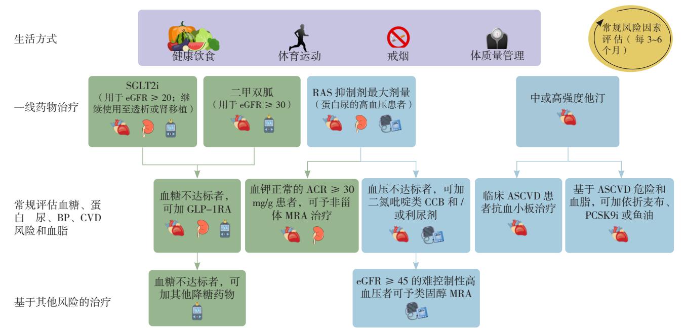 【慢性肾脏病(CKD)综合管理临床路径图】CKD患者综合管理临床路径