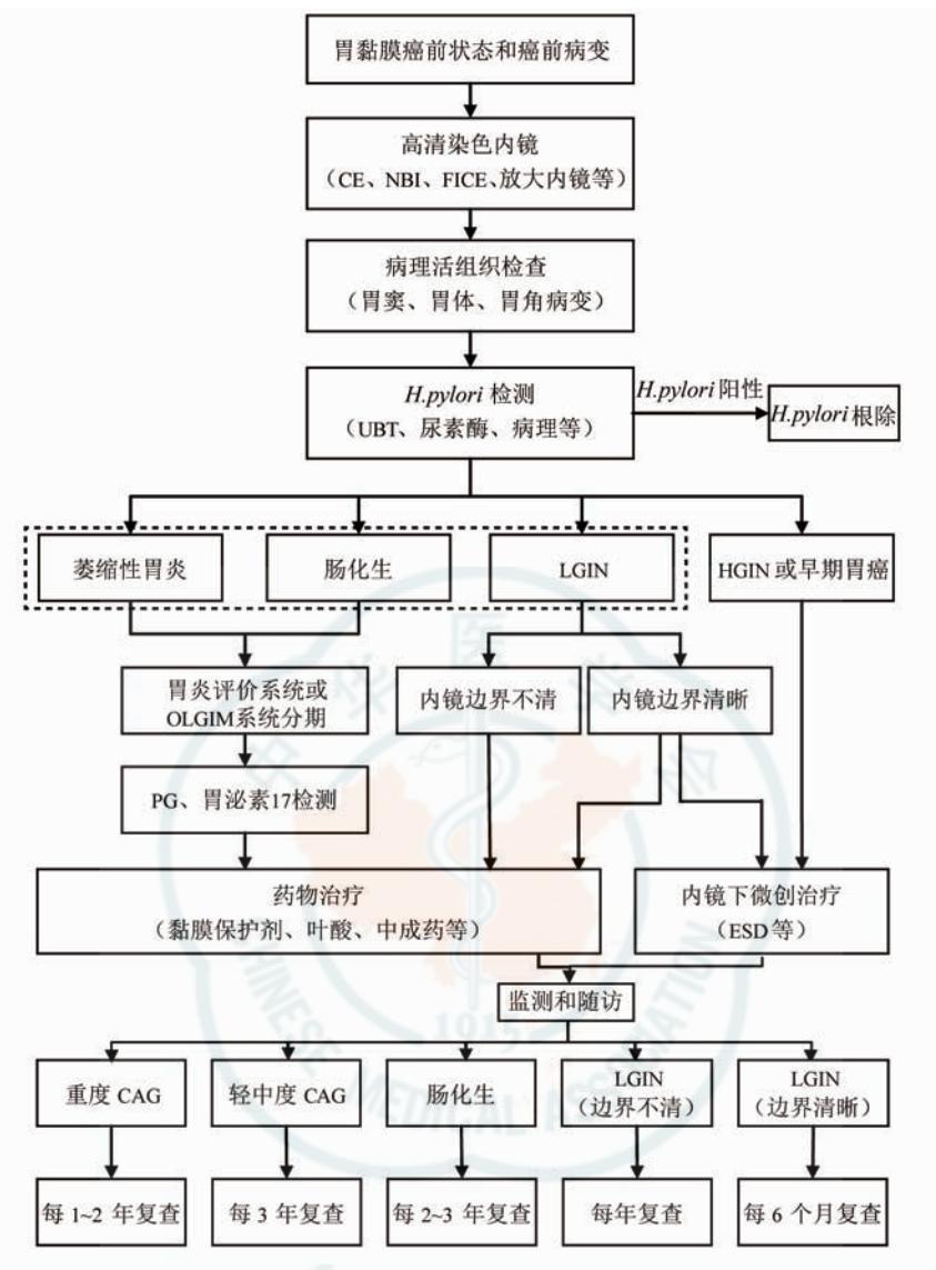 【中国胃黏膜癌前状态和癌前病变的处理策略专家共识(2020年)】胃黏膜癌前病变诊治流程图