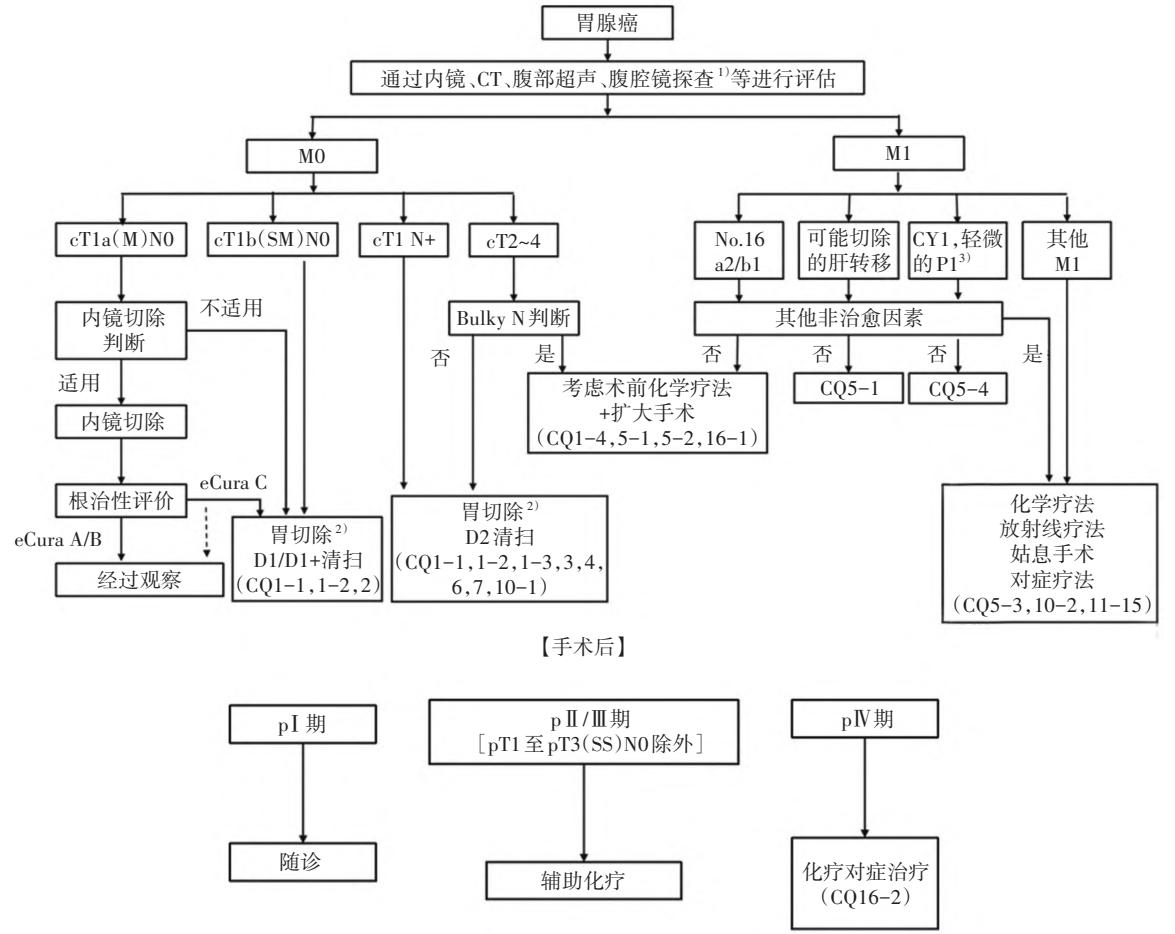 【第7版日本《胃癌治疗指南》中治疗方法部分解读】胃腺癌诊疗路径流程图