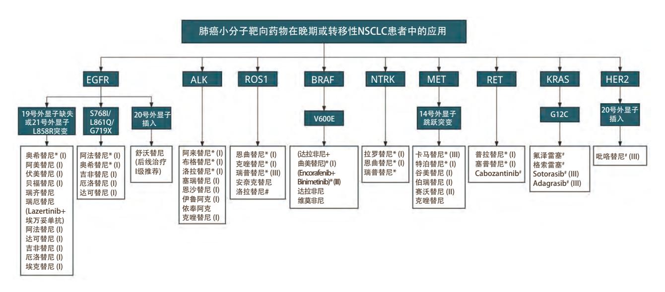 【肺癌小分子靶向药物临床合理用药专家共识】肺癌靶向治疗路径图