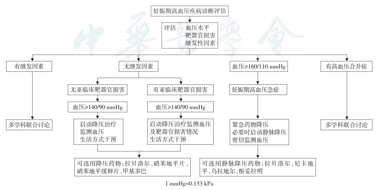 【中华医学会】妊娠期高血压疾病诊断评估流程图